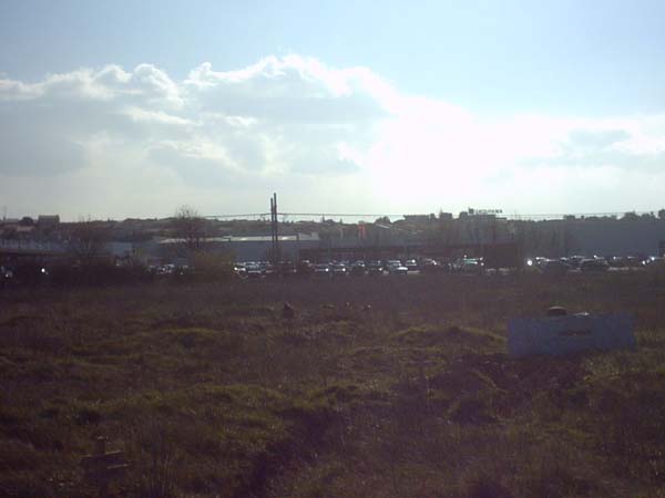 IMG00006