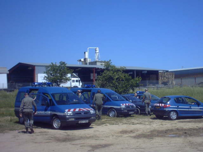 IMG00084